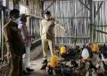 Bupati Pakpak Bharat Kunjungi BUMDes Nduma Karina di Desa Siempat Rube II