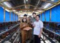 Bupati Pakpak Bharat Tinjau Kandang Ayam Milik BUMDes Rebbak Nduma