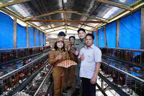 Bupati Pakpak Bharat Tinjau Kandang Ayam Milik BUMDes Rebbak Nduma